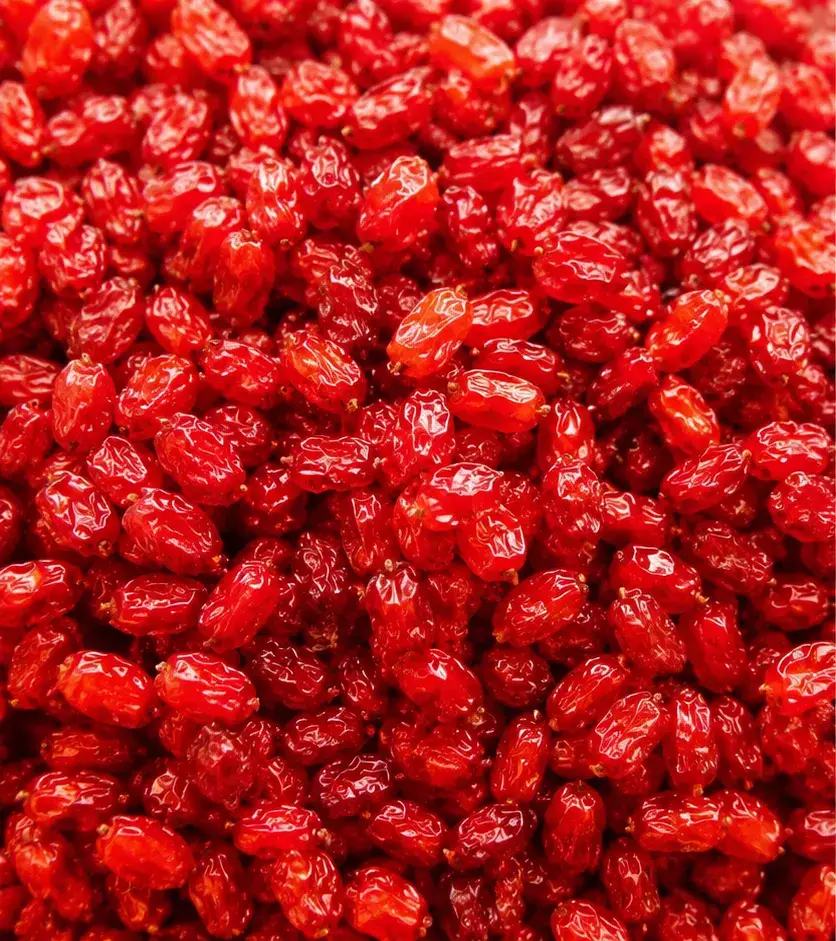 Bright Iranian Pofaki barberry for retail and private label evaluation